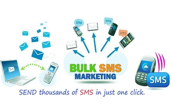 E-Commerce website designing, WEBCODER | Web Designing Company In Dehradun